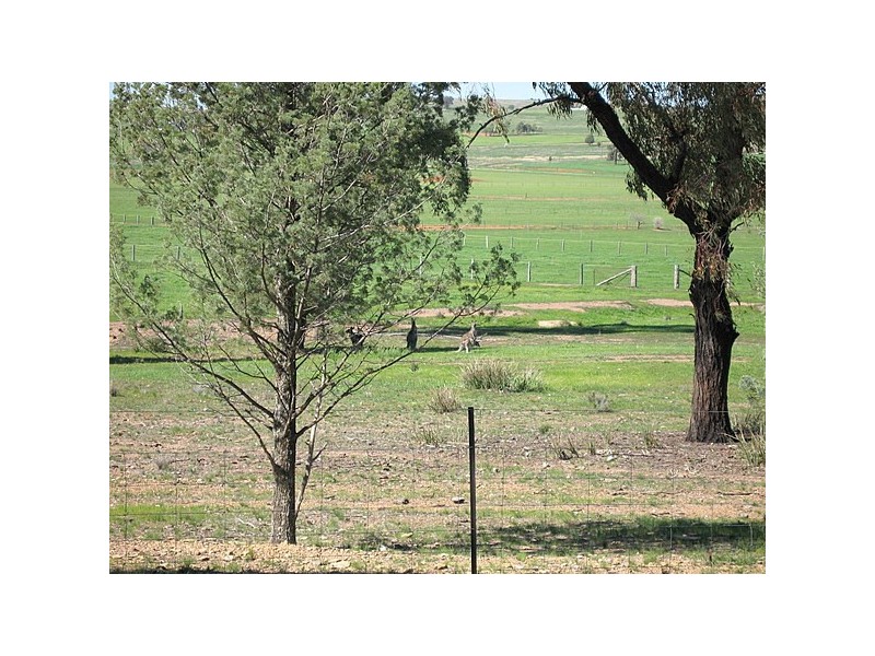 140 Heraghty Road, Parkes NSW 2870