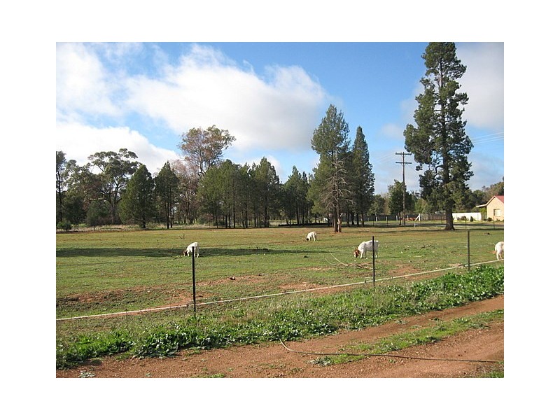 3 Mentone Street, Trundle NSW 2875