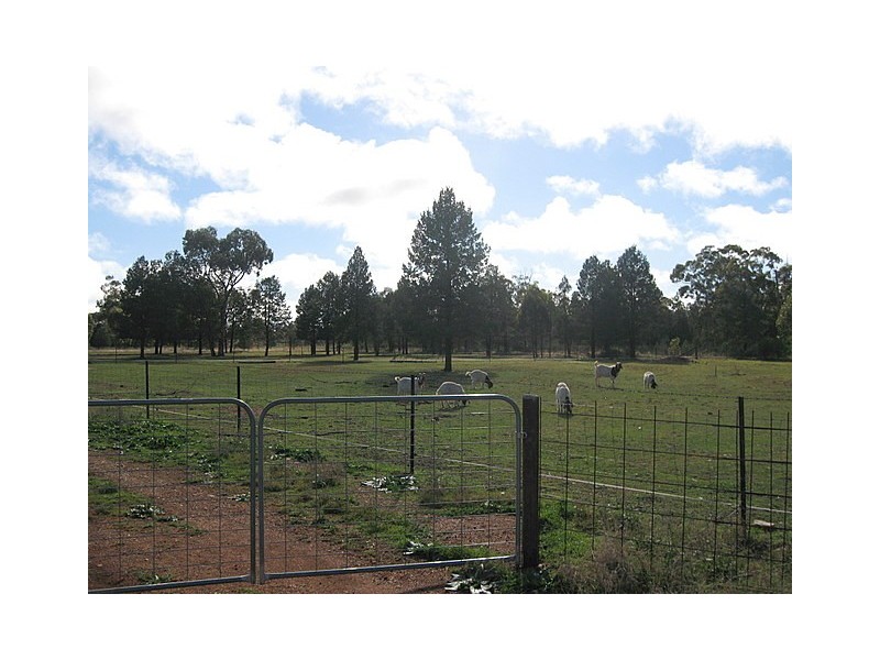 3 Mentone Street, Trundle NSW 2875