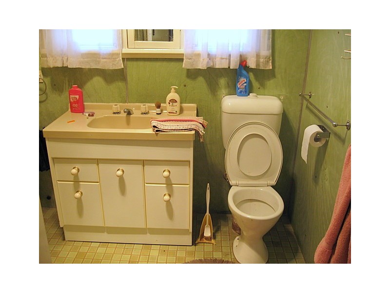 47 Howard Street, Peak Hill NSW 2869