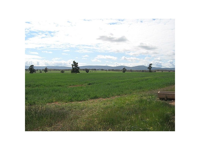 Lot 287 Newell Highway, Trewilga NSW 2869