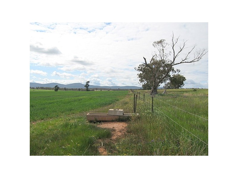 Lot 287 Newell Highway, Trewilga NSW 2869