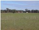 Trundle NSW 2875