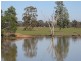 Trundle NSW 2875