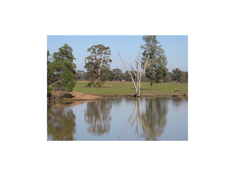 Trundle NSW 2875