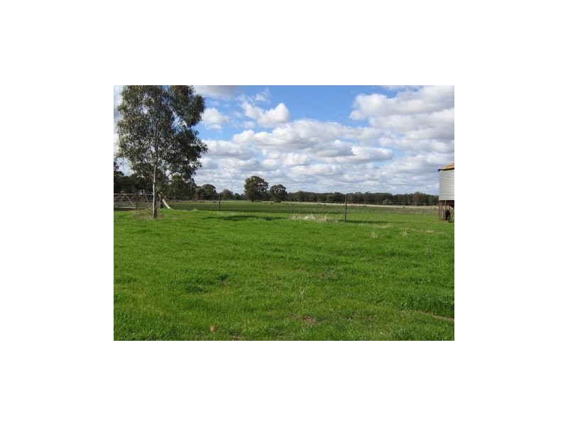 Trundle NSW 2875