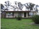 Trundle NSW 2875
