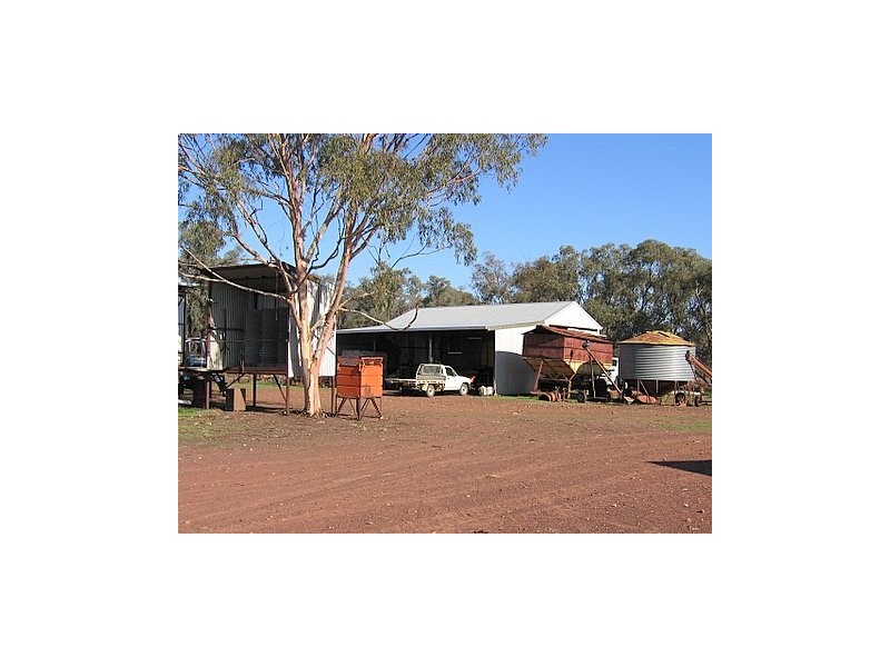 Trundle NSW 2875