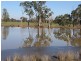 Trundle NSW 2875