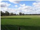 Trundle NSW 2875