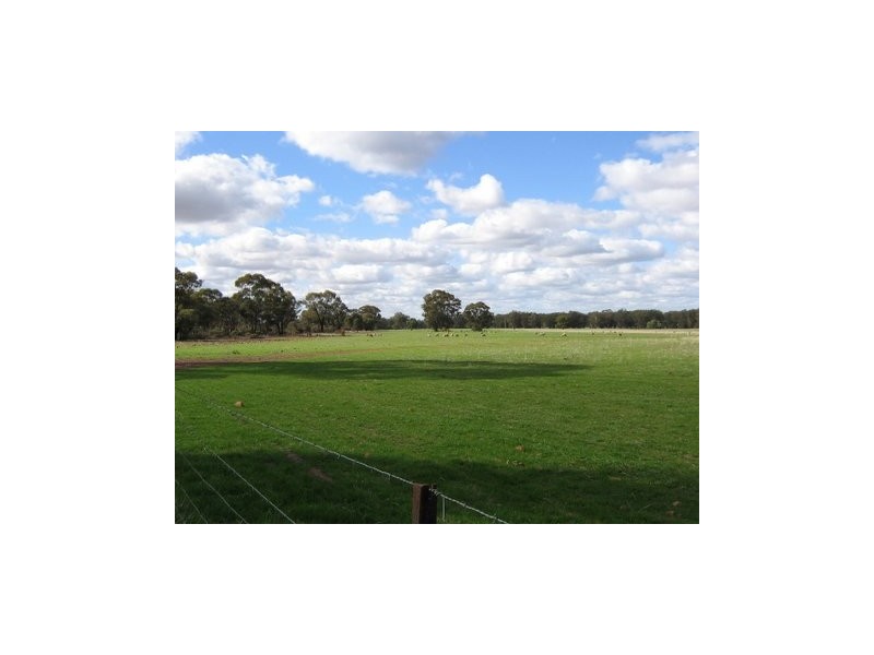Trundle NSW 2875