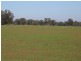 Trundle NSW 2875