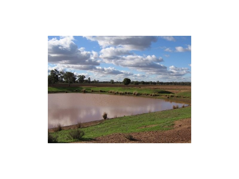Trundle NSW 2875