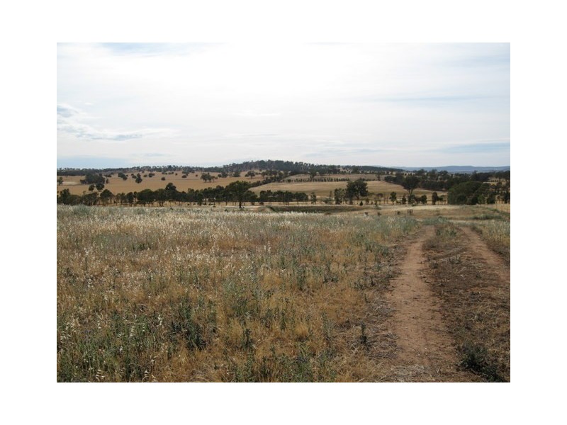 Lot 1 Bogan Road, Parkes NSW 2870