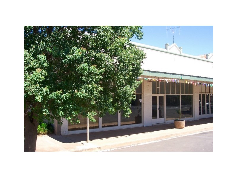 96 Caswell Street, Peak Hill NSW 2869