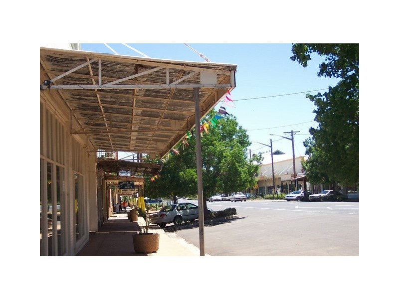 96 Caswell Street, Peak Hill NSW 2869