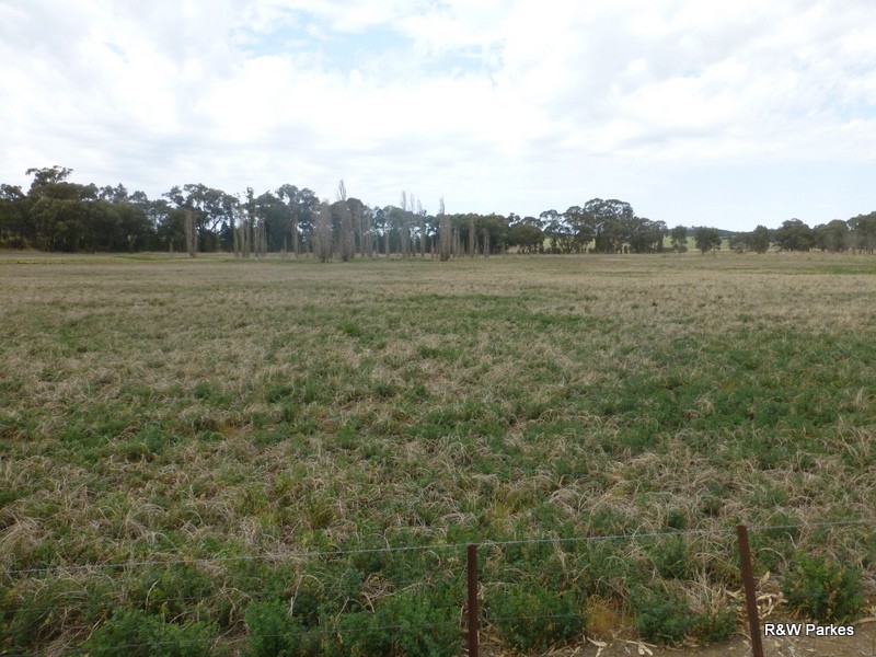8834 Henry Parkes Way, Parkes NSW 2870