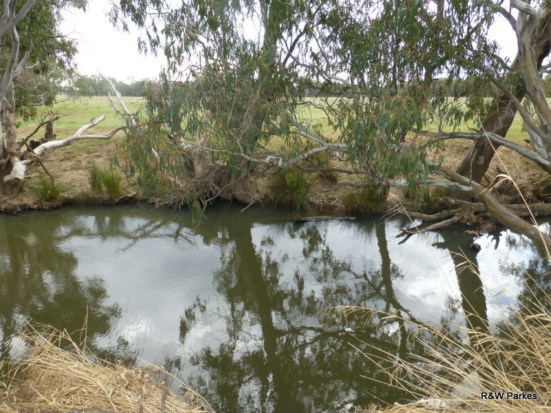 8834 Henry Parkes Way, Parkes NSW 2870