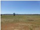 Lot 287 Newell Highway, Trewilga NSW 2869