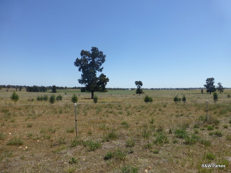 Lot 287 Newell Highway, Trewilga NSW 2869