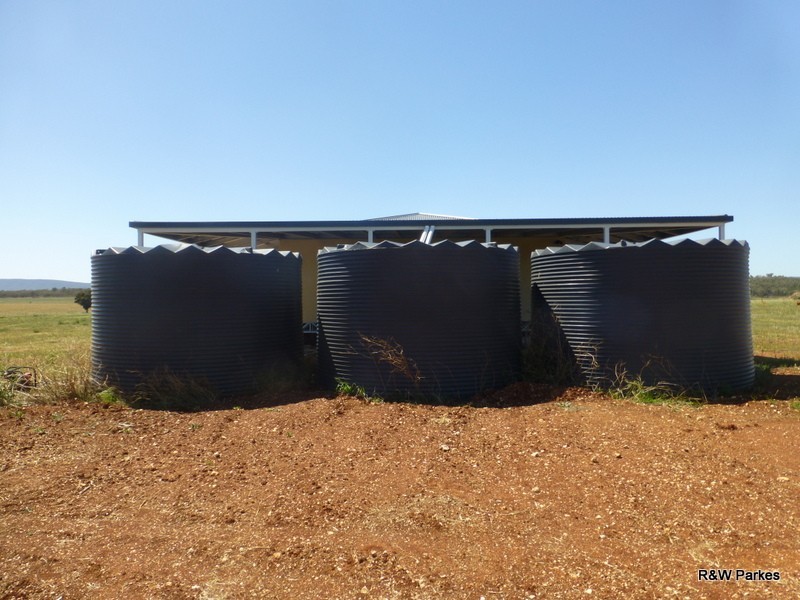 Lot 287 Newell Highway, Trewilga NSW 2869