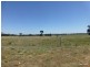Lot 287 Newell Highway, Trewilga NSW 2869