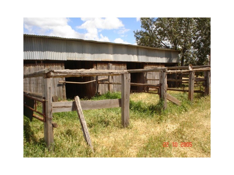 110  Warrah Street, Peak Hill NSW 2869