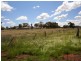 110  Warrah Street, Peak Hill NSW 2869