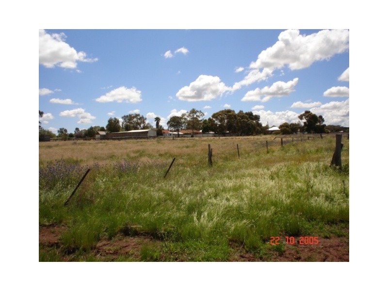 110  Warrah Street, Peak Hill NSW 2869