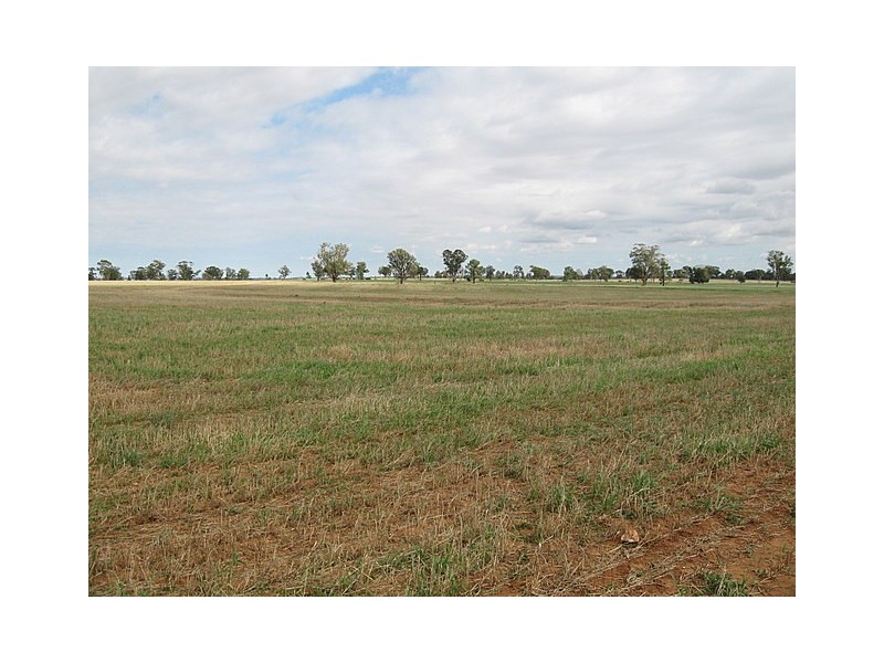 0 ‘Murphys’, Parkes NSW 2870