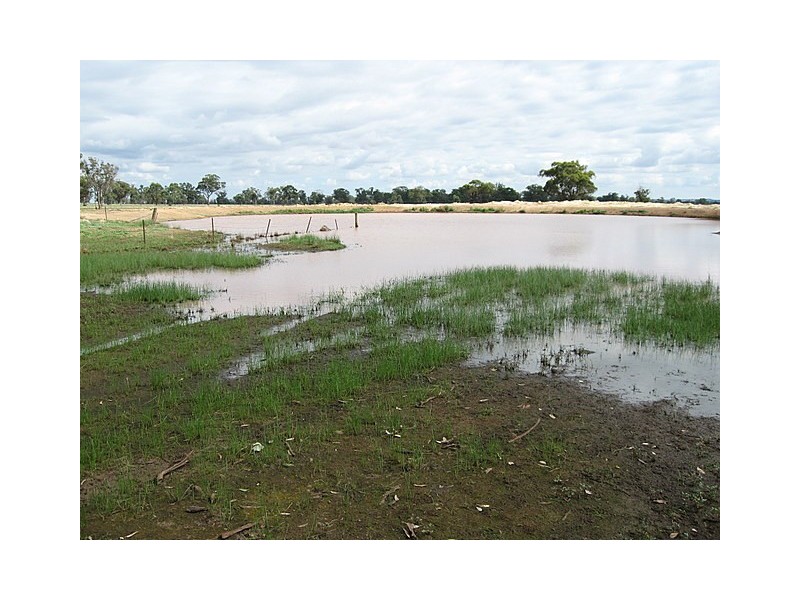 0 ‘Murphys’, Parkes NSW 2870