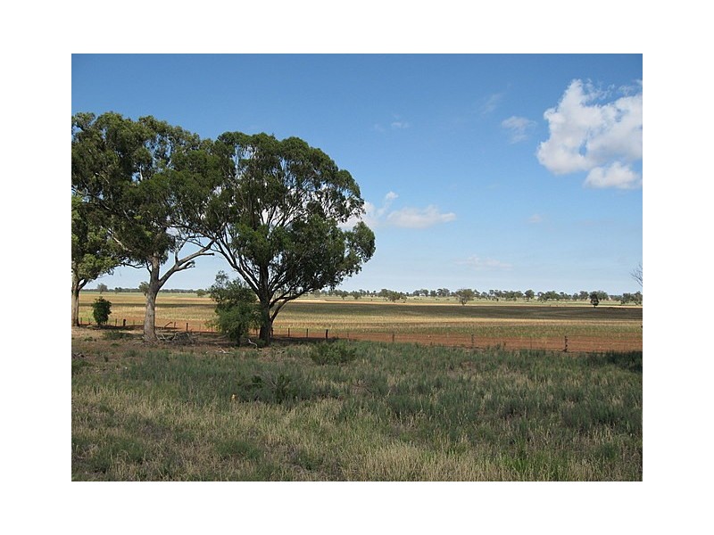 0 ‘Murphys’, Parkes NSW 2870