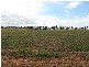 0 ‘Murphys’, Parkes NSW 2870