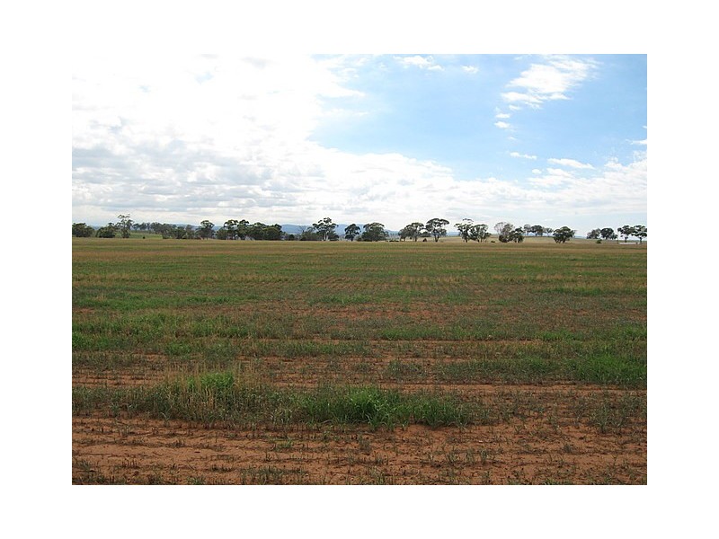 0 ‘Murphys’, Parkes NSW 2870