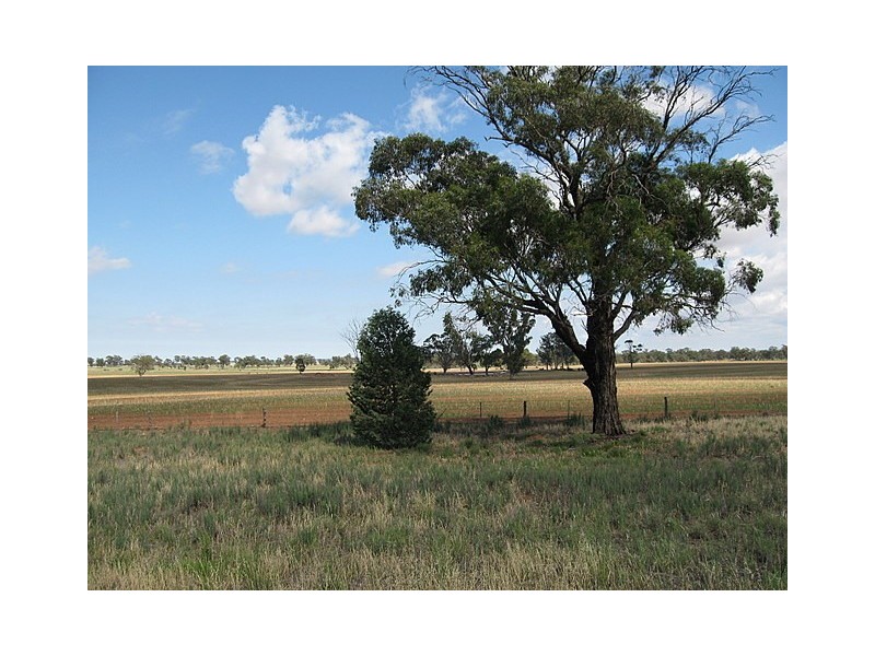 0 ‘Murphys’, Parkes NSW 2870