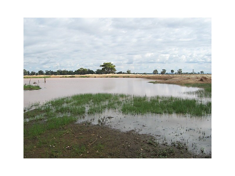 0 ‘Murphys’, Parkes NSW 2870