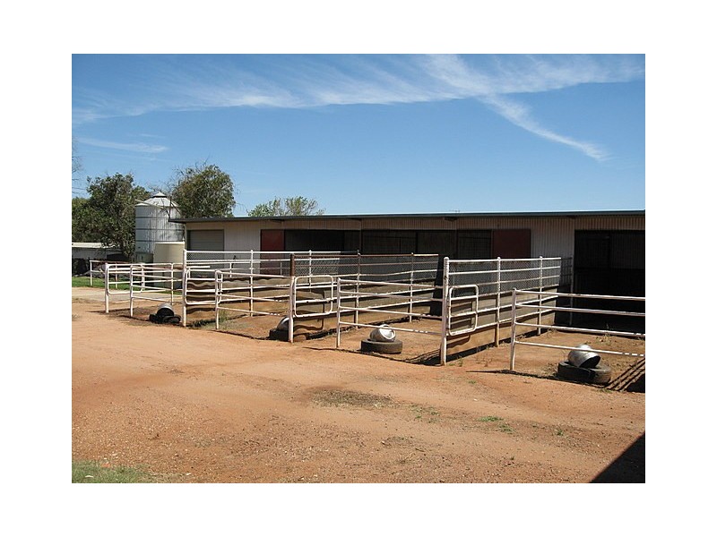 129 Victoria Street, Parkes NSW 2870