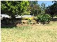 30 Reid Street, Parkes NSW 2870