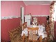 31 Coleman Road, Parkes NSW 2870