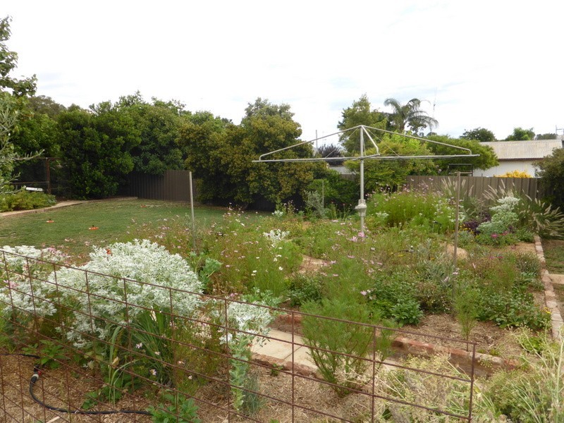 46 Church Street, Parkes NSW 2870