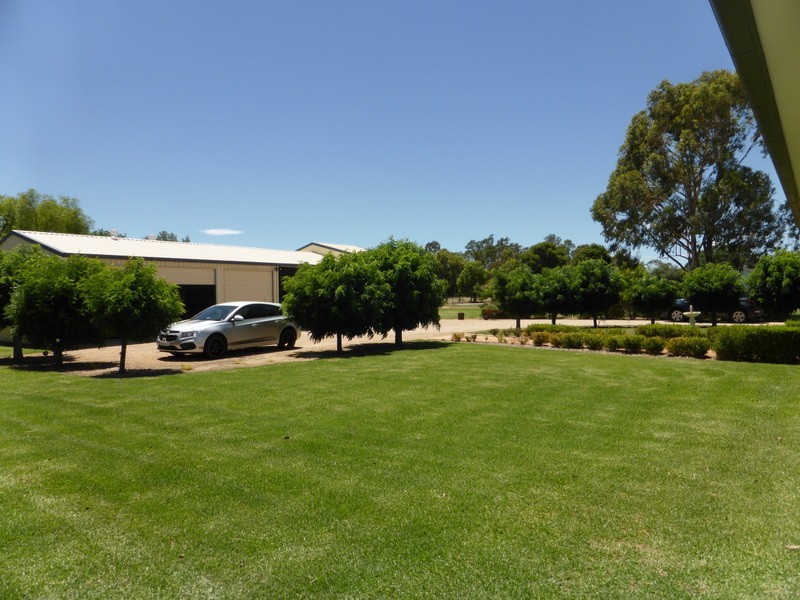 12 Strom Lane, Eugowra NSW 2806