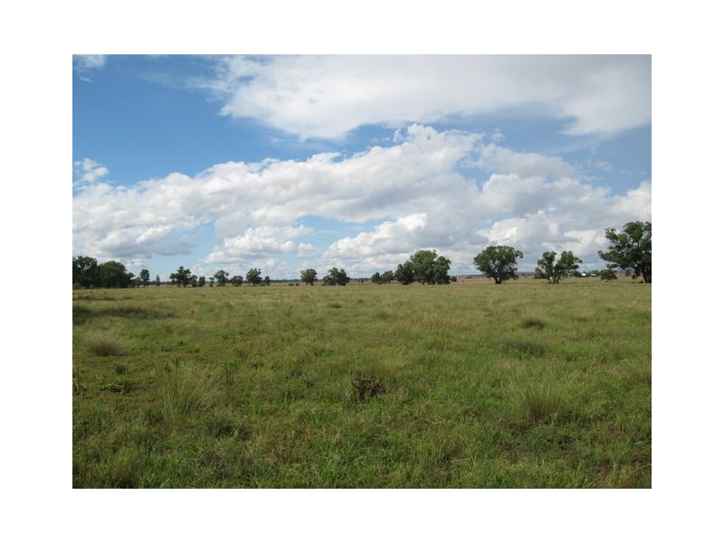 ‘Normandy’ Watts Lane, Tichborne NSW 2870