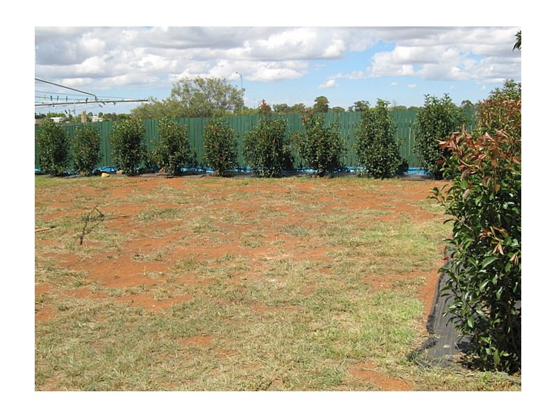 23 Westcott Crescent, Parkes NSW 2870