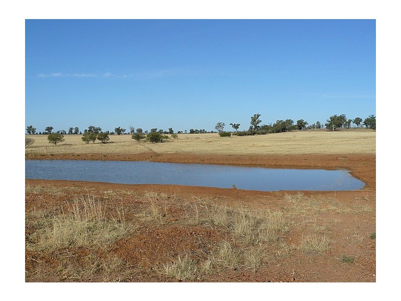 Daroobalgie NSW 2870
