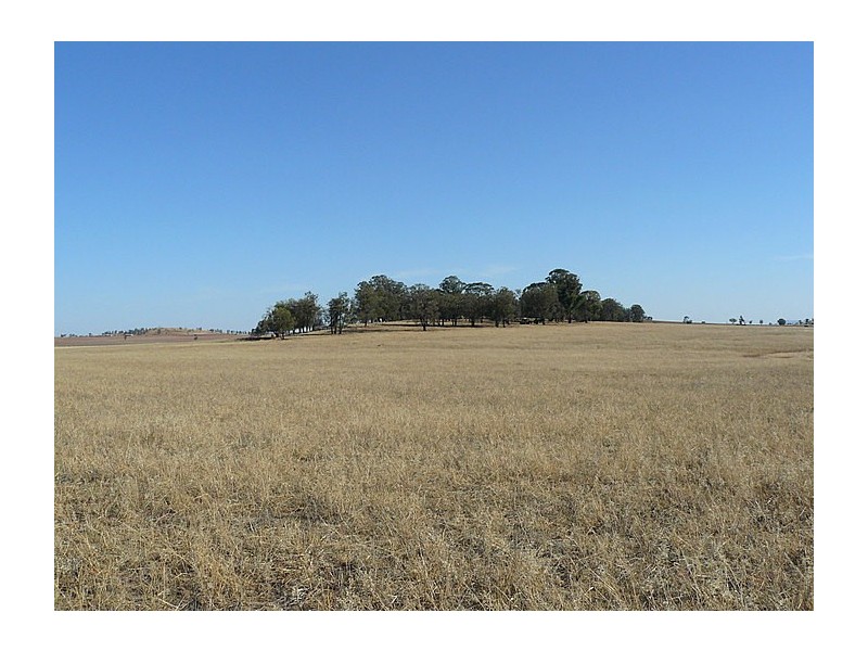 Daroobalgie NSW 2870
