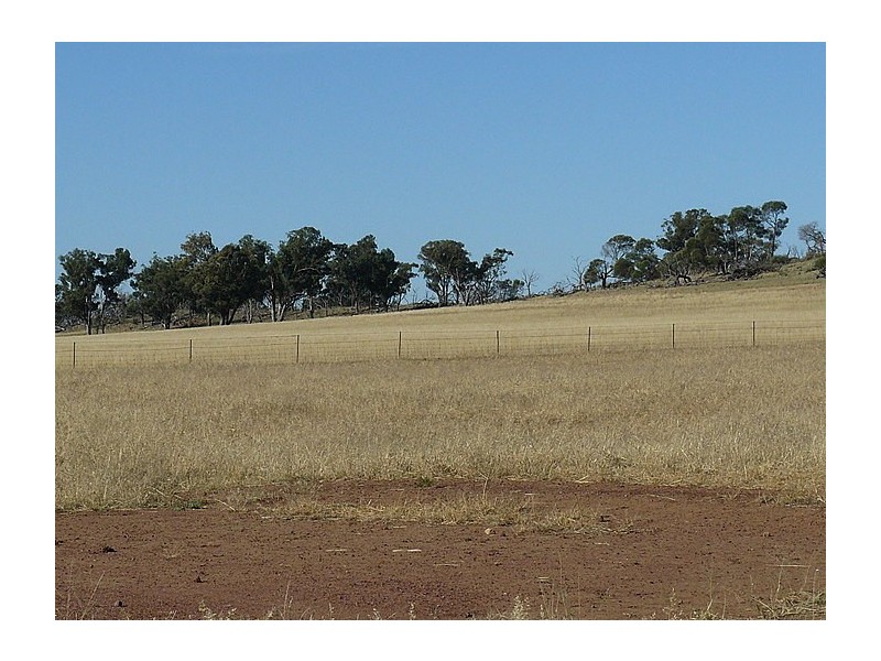 Daroobalgie NSW 2870