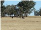 Daroobalgie NSW 2870