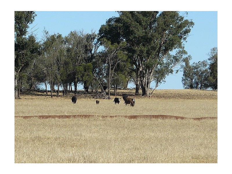 Daroobalgie NSW 2870