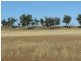 Daroobalgie NSW 2870