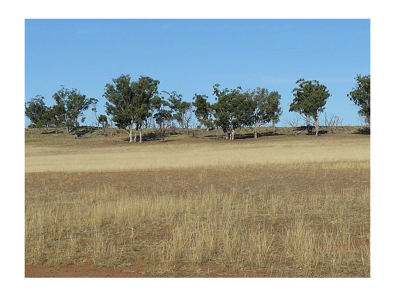 Daroobalgie NSW 2870